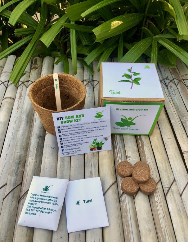 Tulsi / Holy Basi